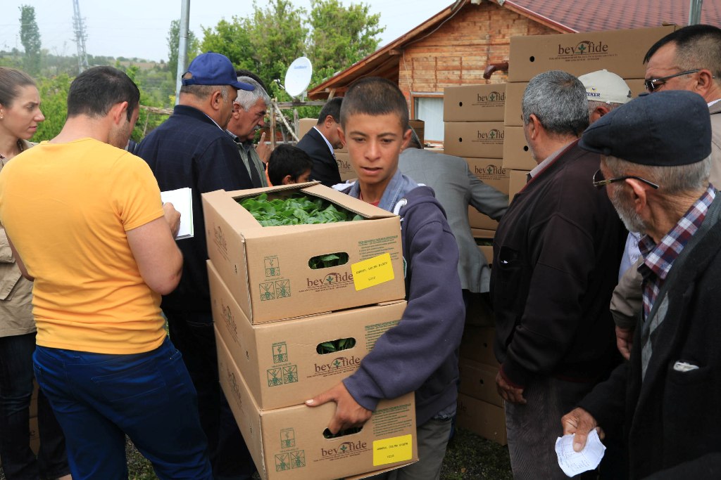 BÜYÜKŞEHİR’İN SEBZE FİDESİ VE SALATALIK TOHUMU DESTEĞİ BAŞLIYOR
