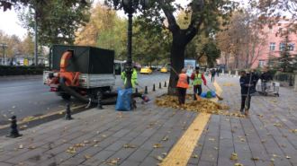 BÜYÜKŞEHİR EKİPLERİNİN YAPRAK TEMİZLİĞİ