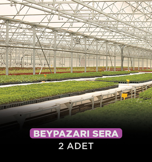 Beypazarı Sera 2 Adet