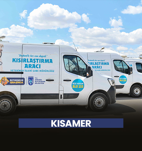 Kısamer'den Sokak Hayvanları İçin 7/24 Mesai
