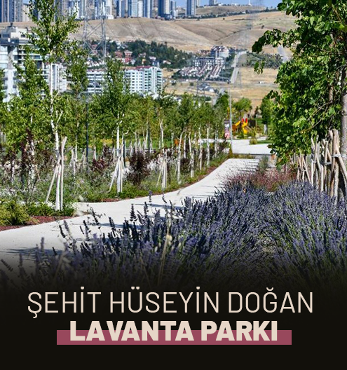 Şehit Hüseyin Doğan Lavanta Parkı