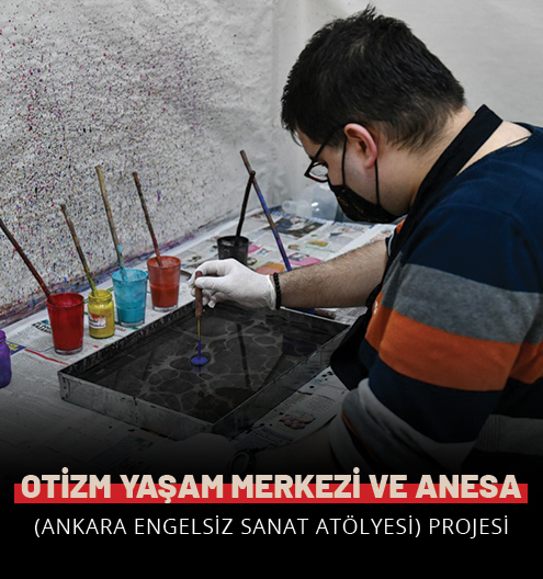 Otizm Yaşam Merkezi Ve Anesa (Ankara Engelsiz Sanat Atölyesi)