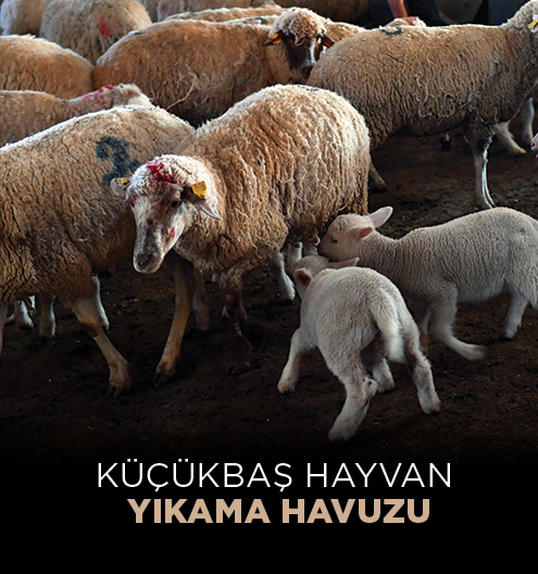Küçükbaş Hayvan Yıkama Havuzu