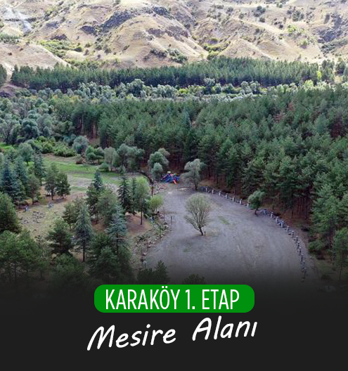 Altındağ Karaköy 1.Etap Mesire Alanı