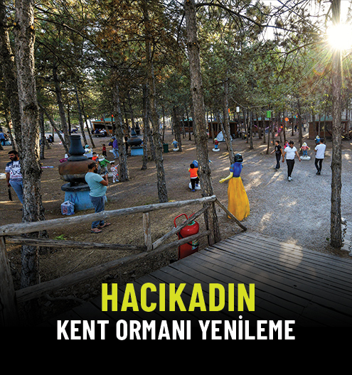 Hacıkadın Kent Ormanı Yenileme