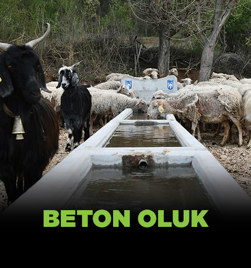 Beton Oluk