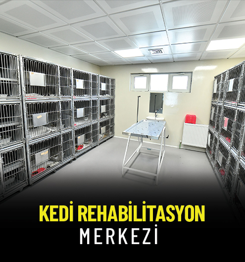 Kedi Rehabilitasyon Merkezi