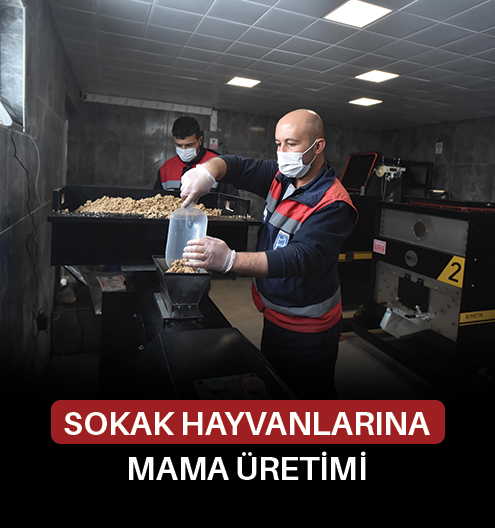 Sokak Hayvanlarına Mama Üretimi