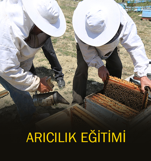 Büyükşehir Arıcılık Eğitimleri