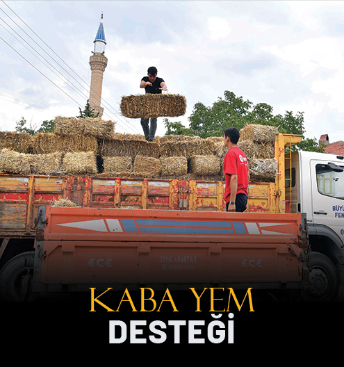 Kaba Yem Desteği