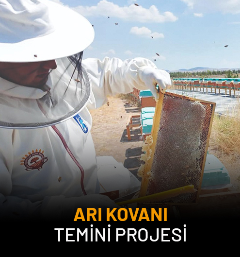 Arı Kovanı Temini Projesi