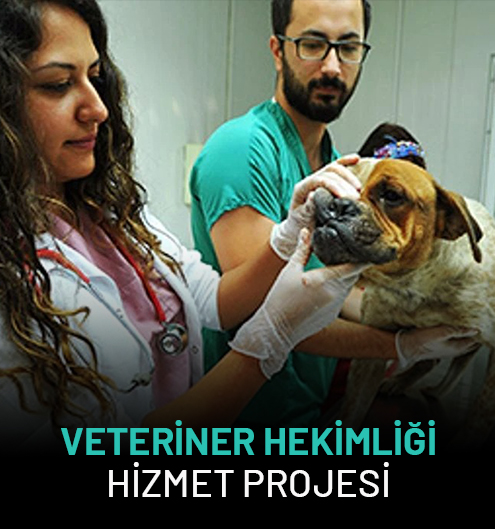 Veteriner Hekimliği Hizmeti Projesi