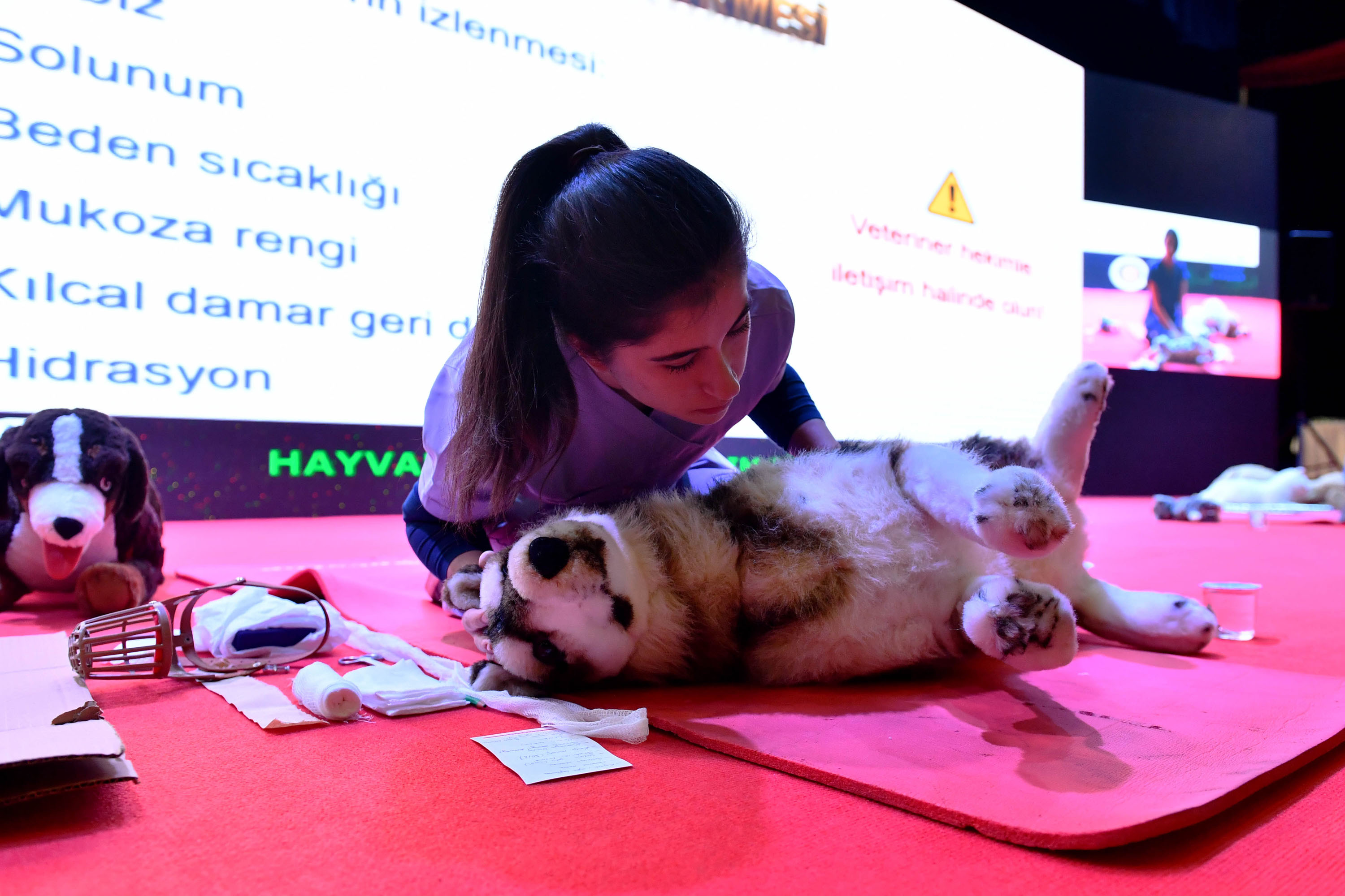 BAŞKENT’TE HAYVAN DOSTU BELEDİYECİLİK ABB’DEN 8 MİLYONUN ÜZERİNDE SOKAK HAYVANINA VETERİNERLİK HİZMETİ