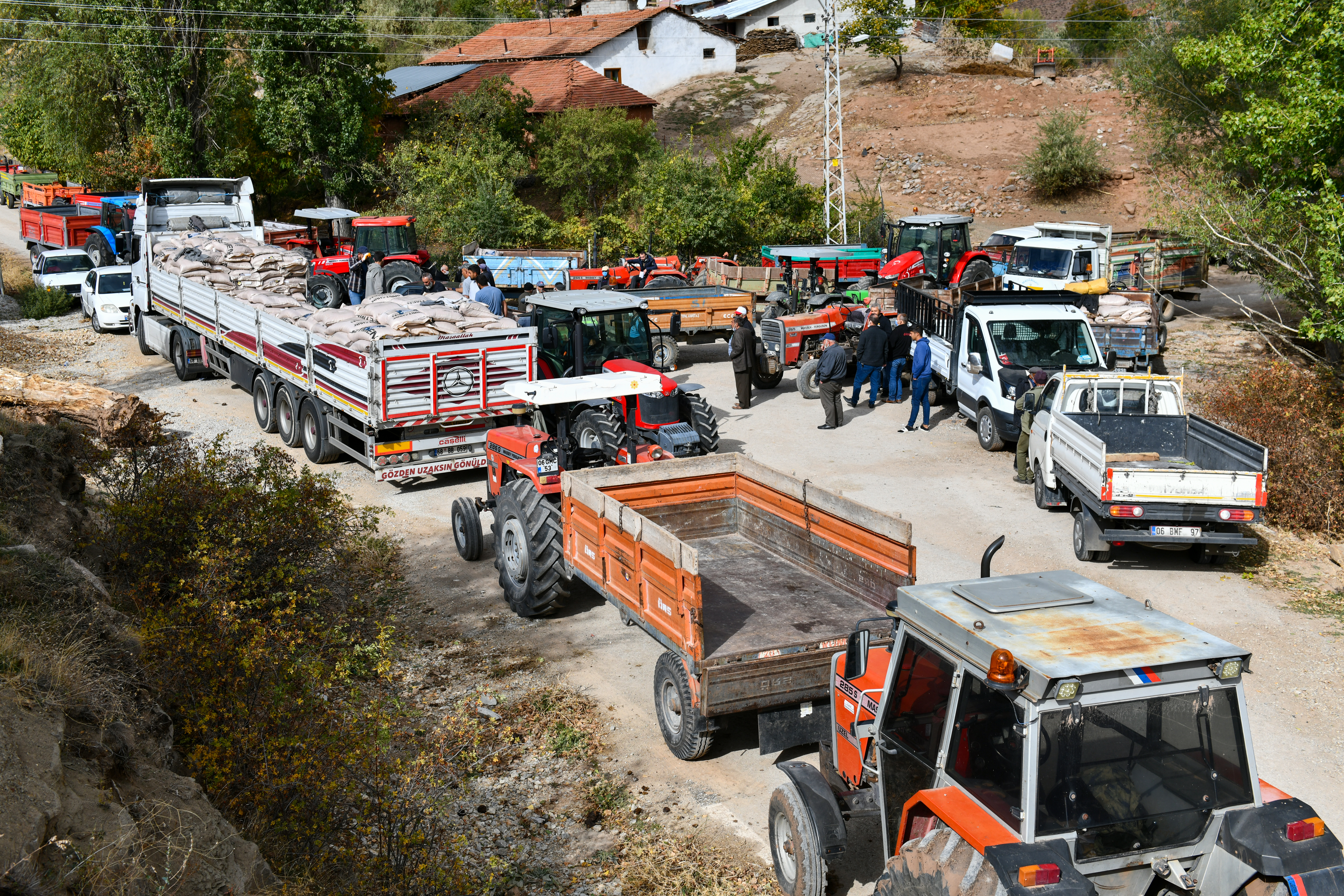 Tohum Ve Fide Desteği