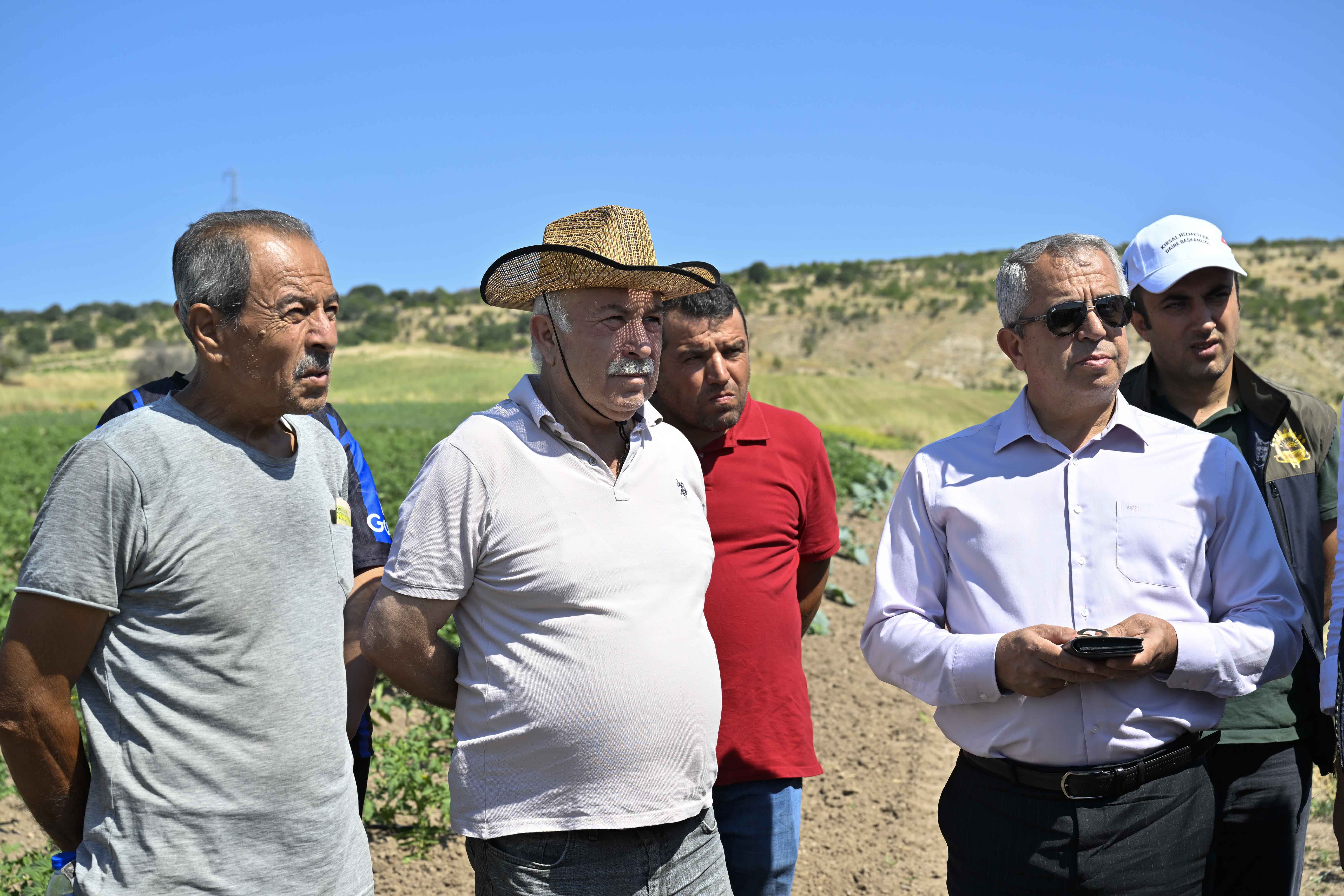 ABB’DEN ÜRETİCİYE “AKILLI BÖCEK” DESTEĞİ