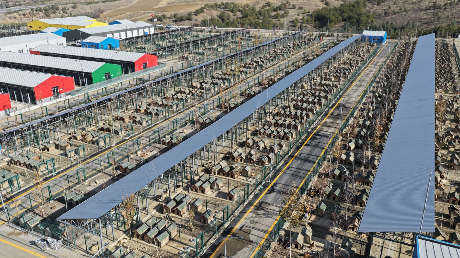 Sincan Hayvan Bakımevi ve Kedi Tedavi Rehabilitasyon Merkezi