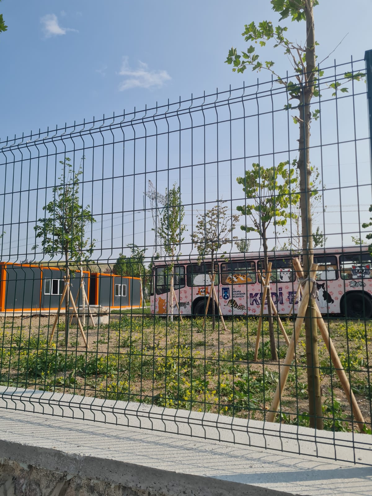 Alacaatlı Kedi Kısırlaştırma, Tedavi Ve Sahiplendirme Merkezi