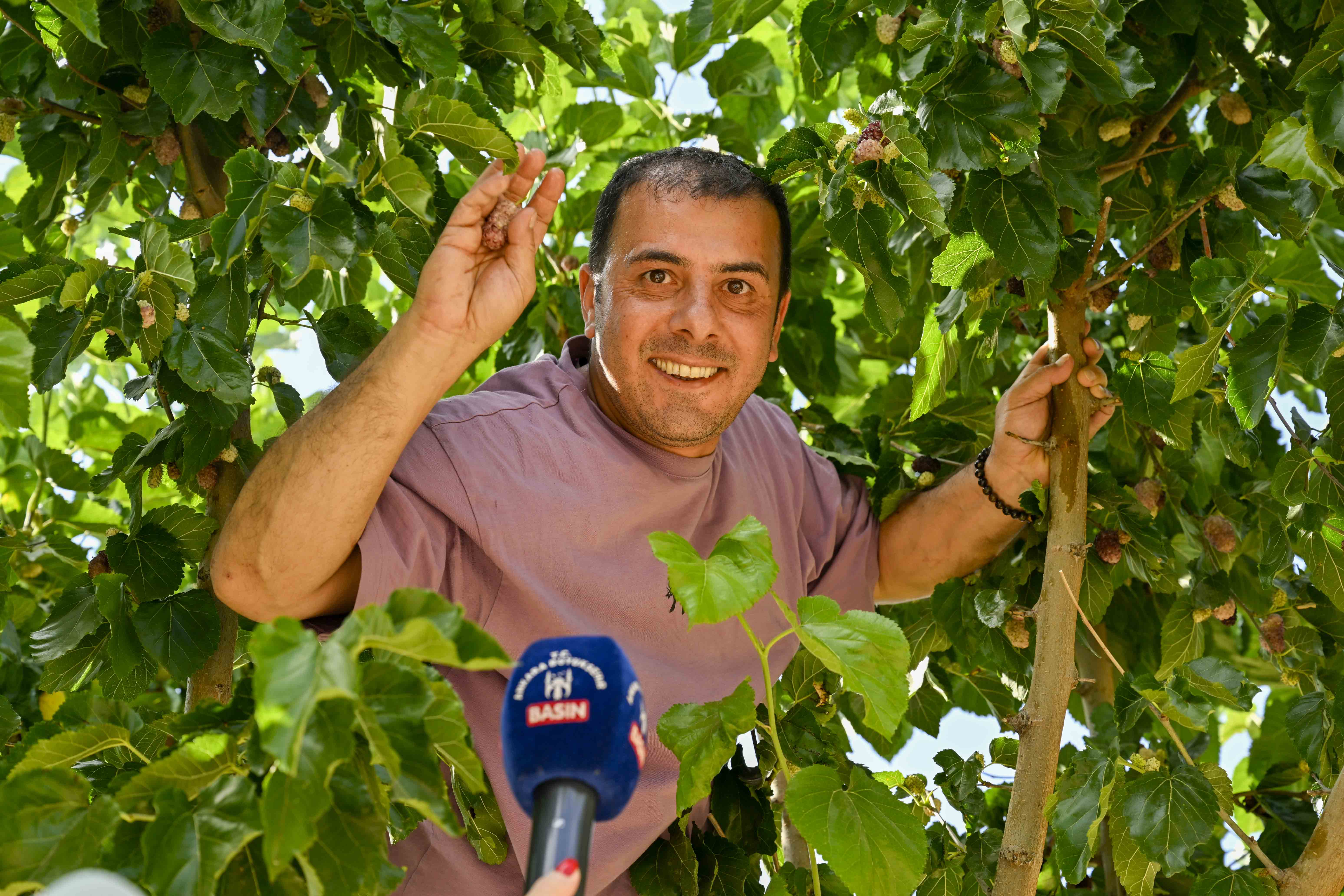 BAŞKENTLİLER ATA ÇİFTLİĞİ’NDE HASAT YAPTI